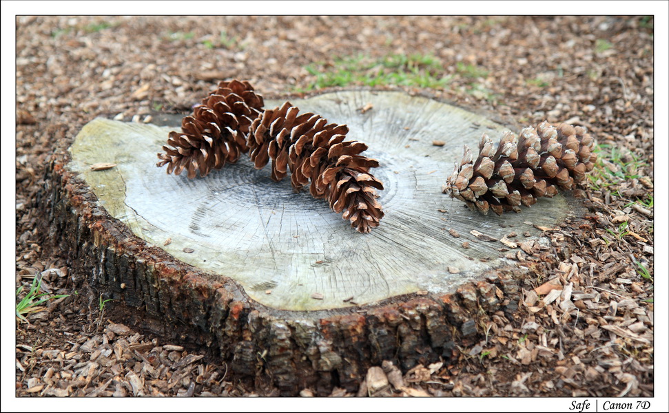 2011 - 03 - Cambridge 089